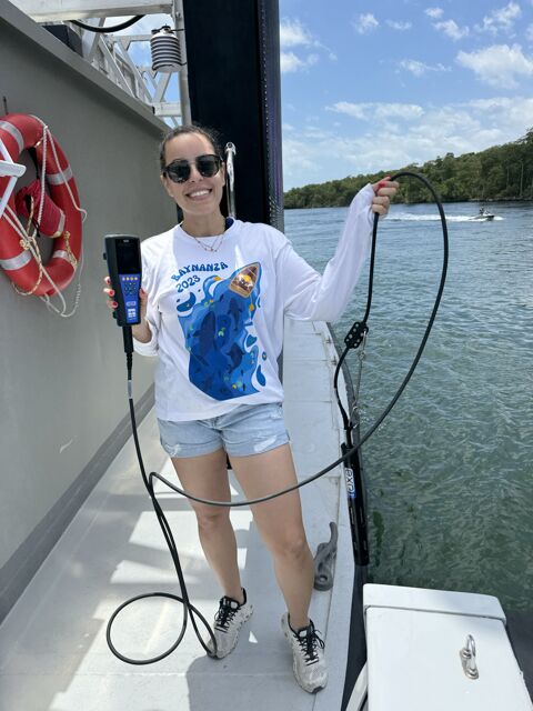 Cover image for article: Why Environmental Stewardship Matters: Ballyhoo Media's Commitment