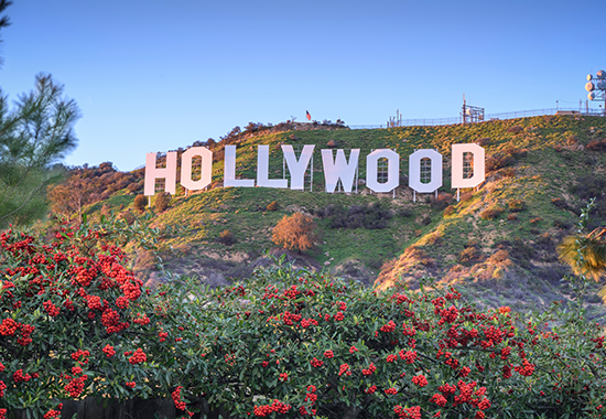 Cover image for article: The Opportunity Windows for Premium Video Content