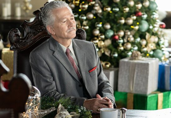 Patrick Duffy on Lifetime's "Random Acts of Christmas," Life After "Dallas" and More