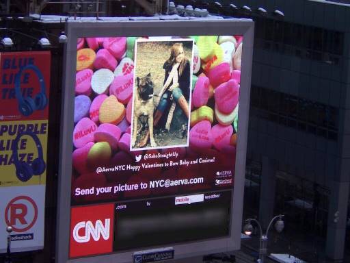 Cover image for article: Digital Storytelling This Valentine's Day - Suzanne Grimes