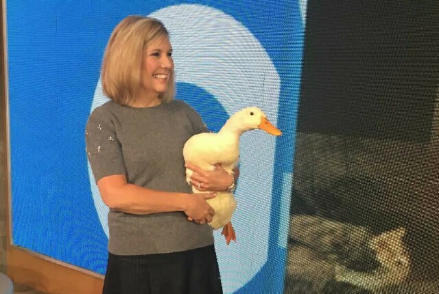 Cover image for  article: Podcast:  AFLAC CMO on Marketing the Iconic Duck with Disney|ABC’s “DuckTales”