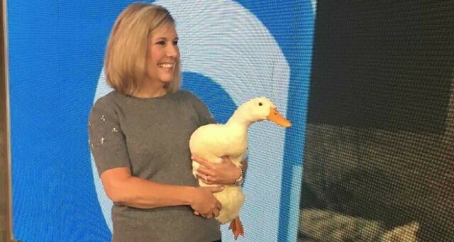 Podcast Aflac Cmo On Marketing The Iconic Duck With Disney Abc S Ducktales Mediavillage