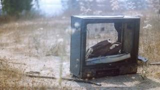 Cover image for article: For Television, It's a Grim End to a Great Year
