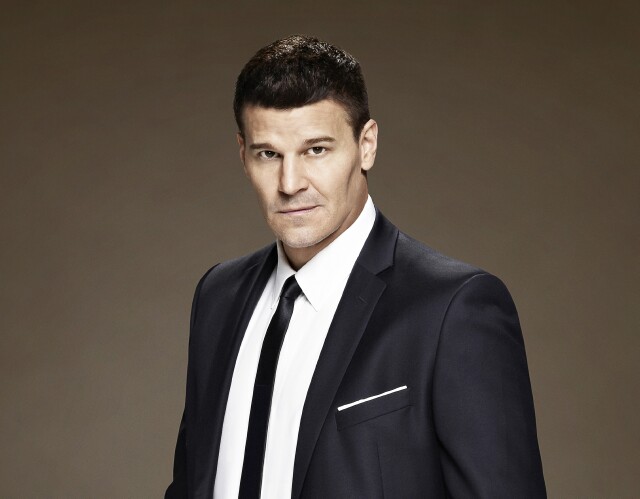 Cover image for article: David Boreanaz Bids a Fond Farewell to "Bones"