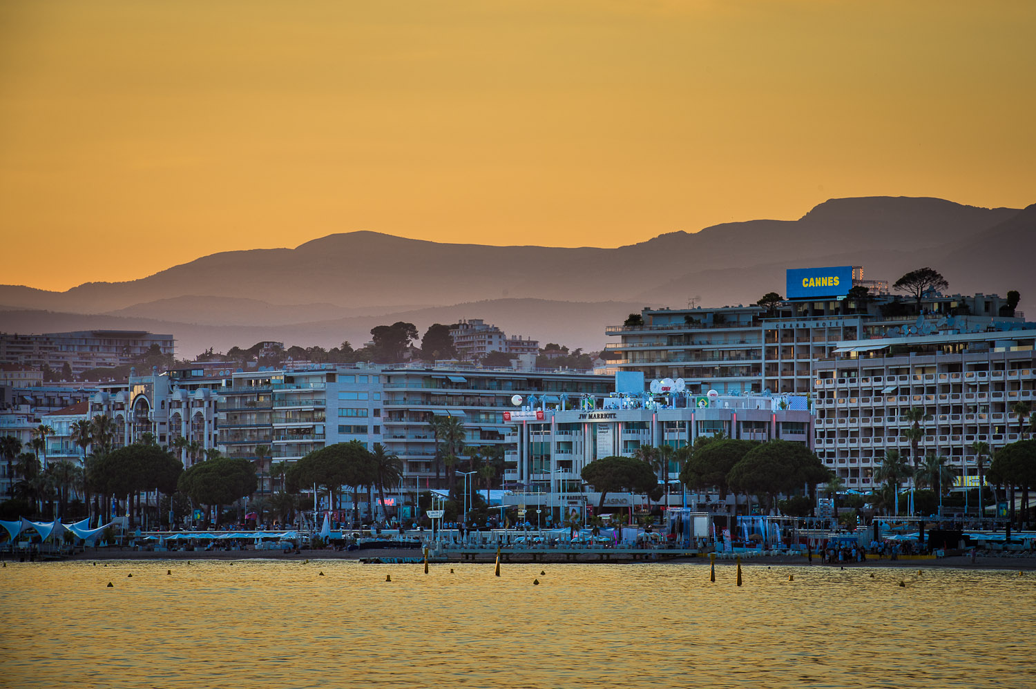 Cover image for article: Notes from Cannes: Data Providers Fuel Impact of Creative