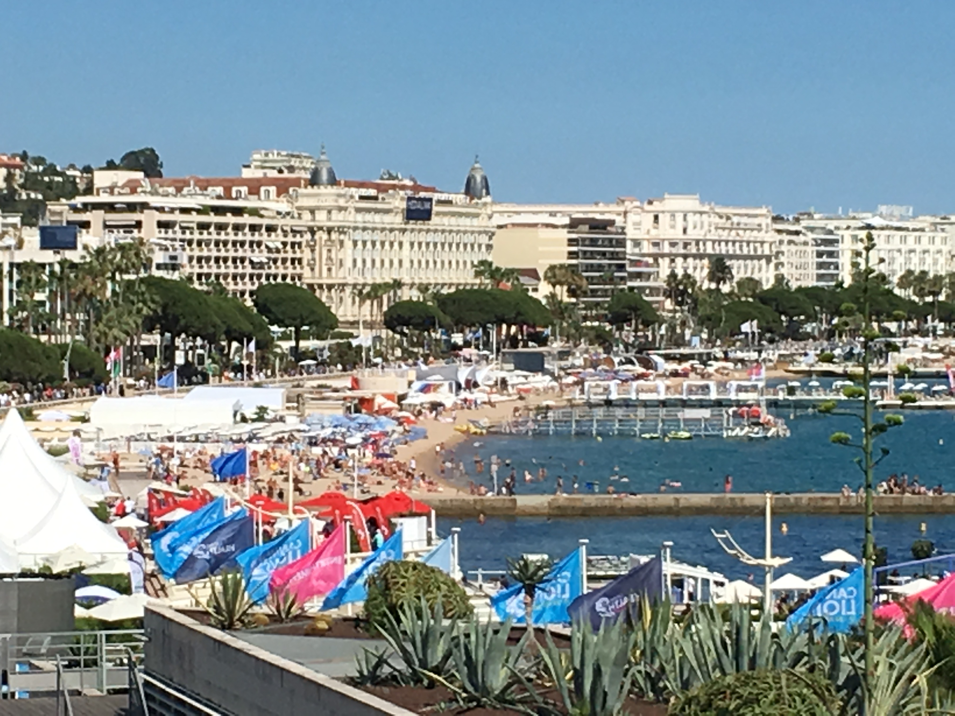 Cover image for  article: Questioning Cannes: Reflections from a Non-Attender