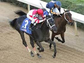 Cover image for  article: NBC's Kentucky Derby Coverage Was Not Yummy - TheCharlieWarnerReport