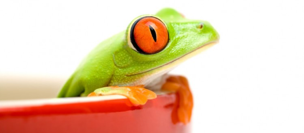 Cover image for  article: The Cookie Is Crumbling.  Are You Prepared?