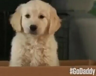 Cover image for article: GoDaddy and Barton F. Graf 9000 Start Super Bowl XLIX Week with a Toxic Thud – Ed Martin