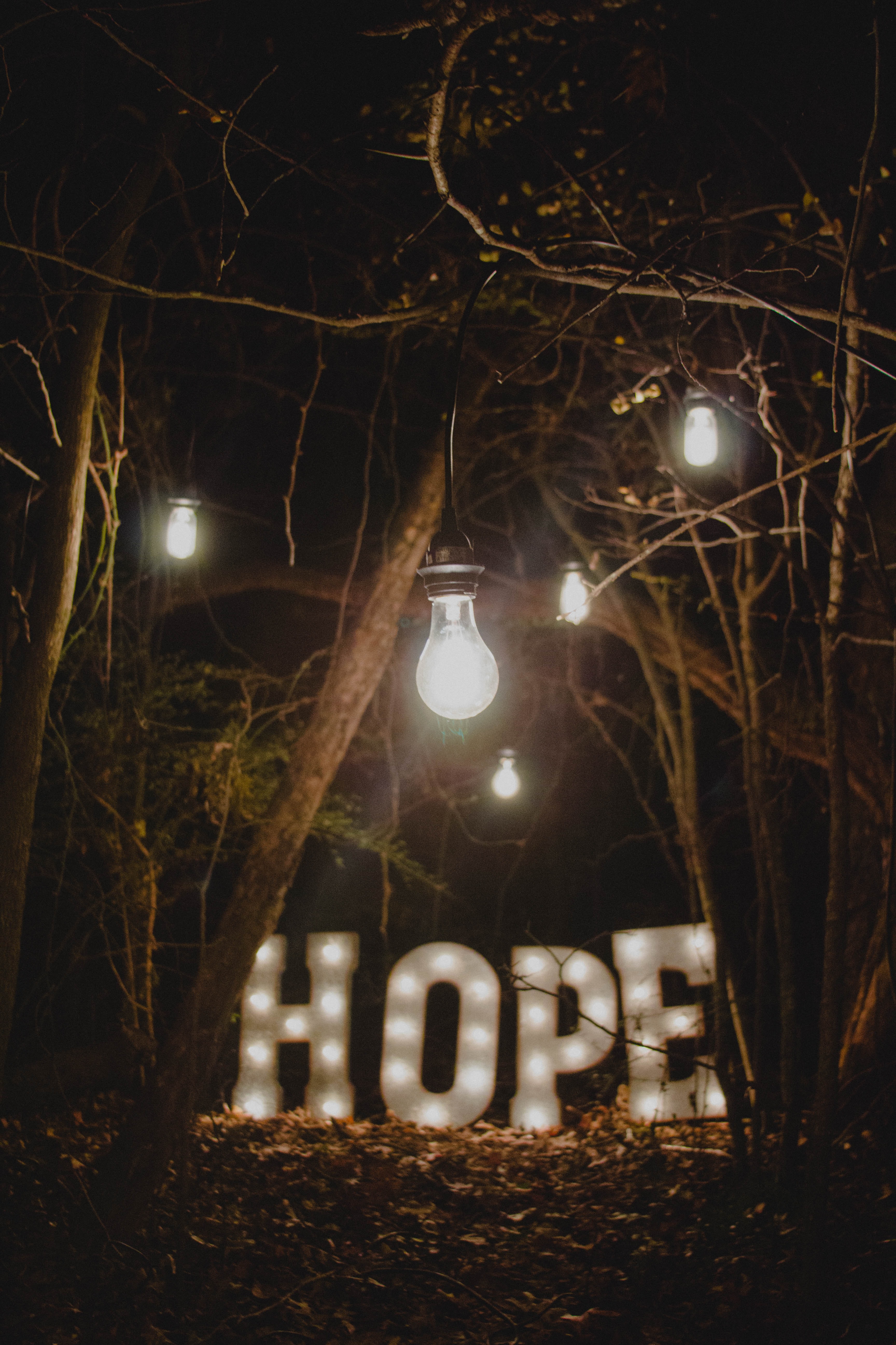 Cover image for  article: Hope