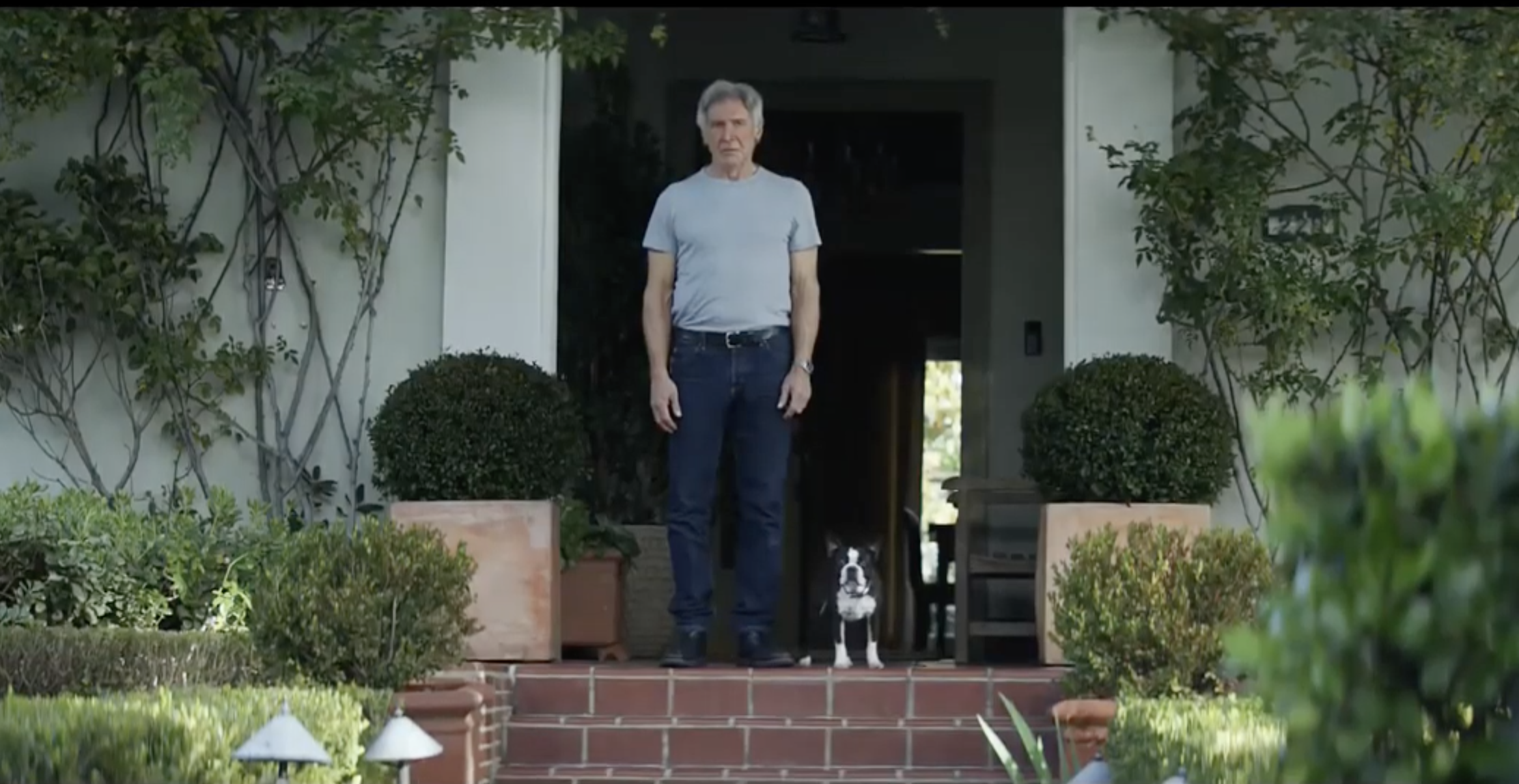 Cover image for article: YouTube Releases 2019 Ads of the Year