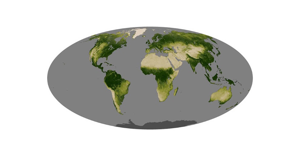 Cover image for  article: No News Isn't Good News:  Biden's Foreign Policy Challenges Begin at Home