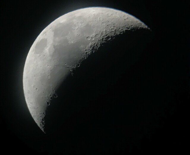 Cover image for article: TCA: Hallmark Brought the Stars; Nat Geo Hung the Moon