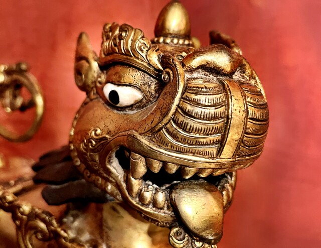 Cover image for article: Beware the Bossy Traits!