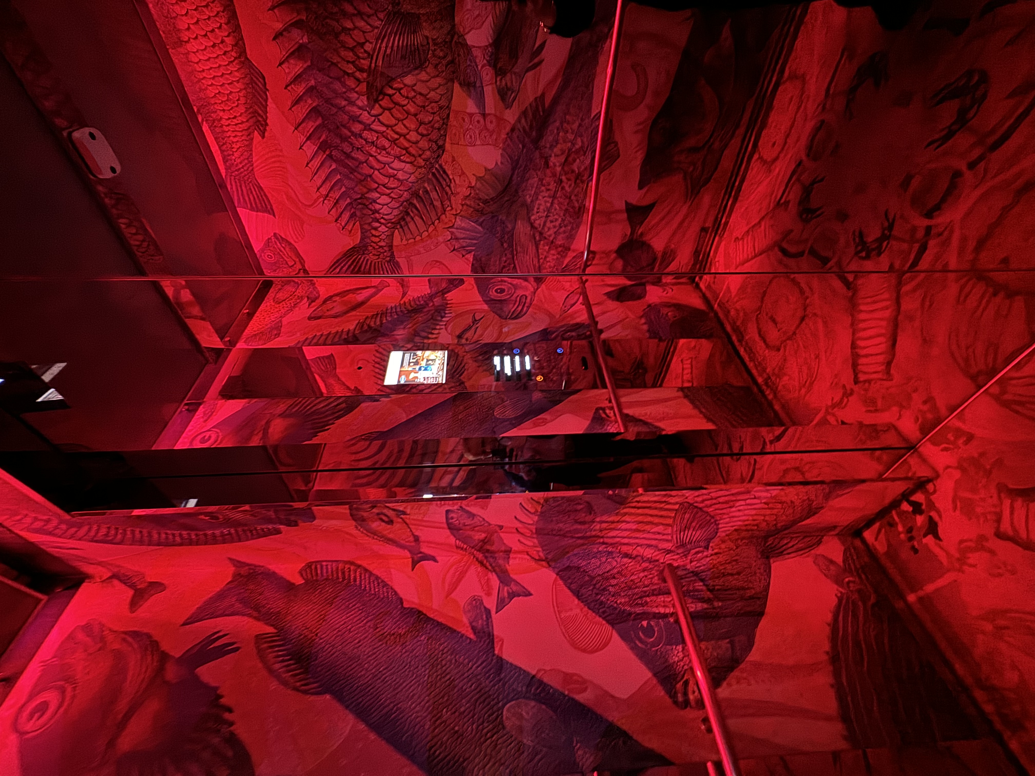 Cover image for  article: Being Better.