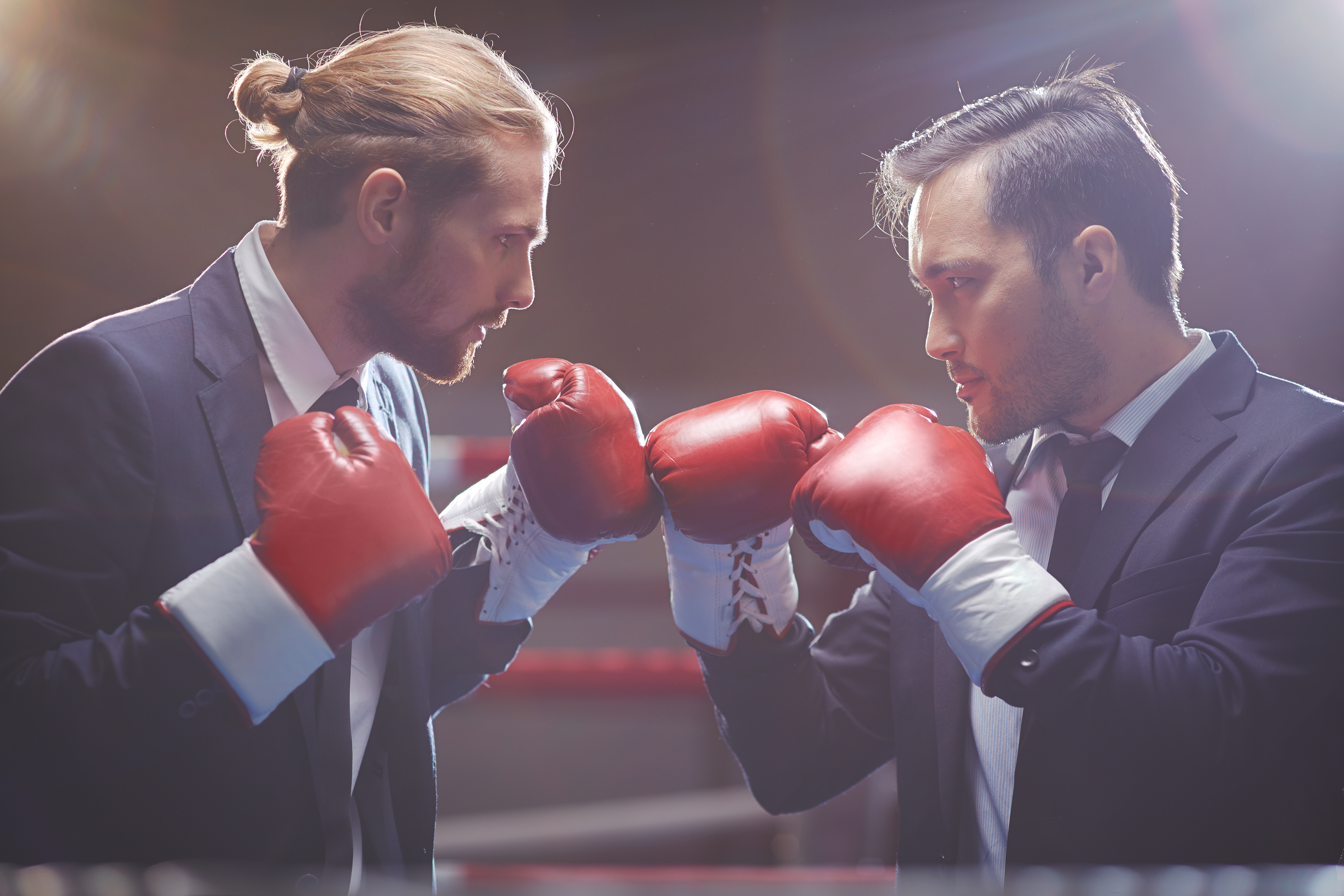 Cover image for  article: A House Divided Against Itself Cannot Stand