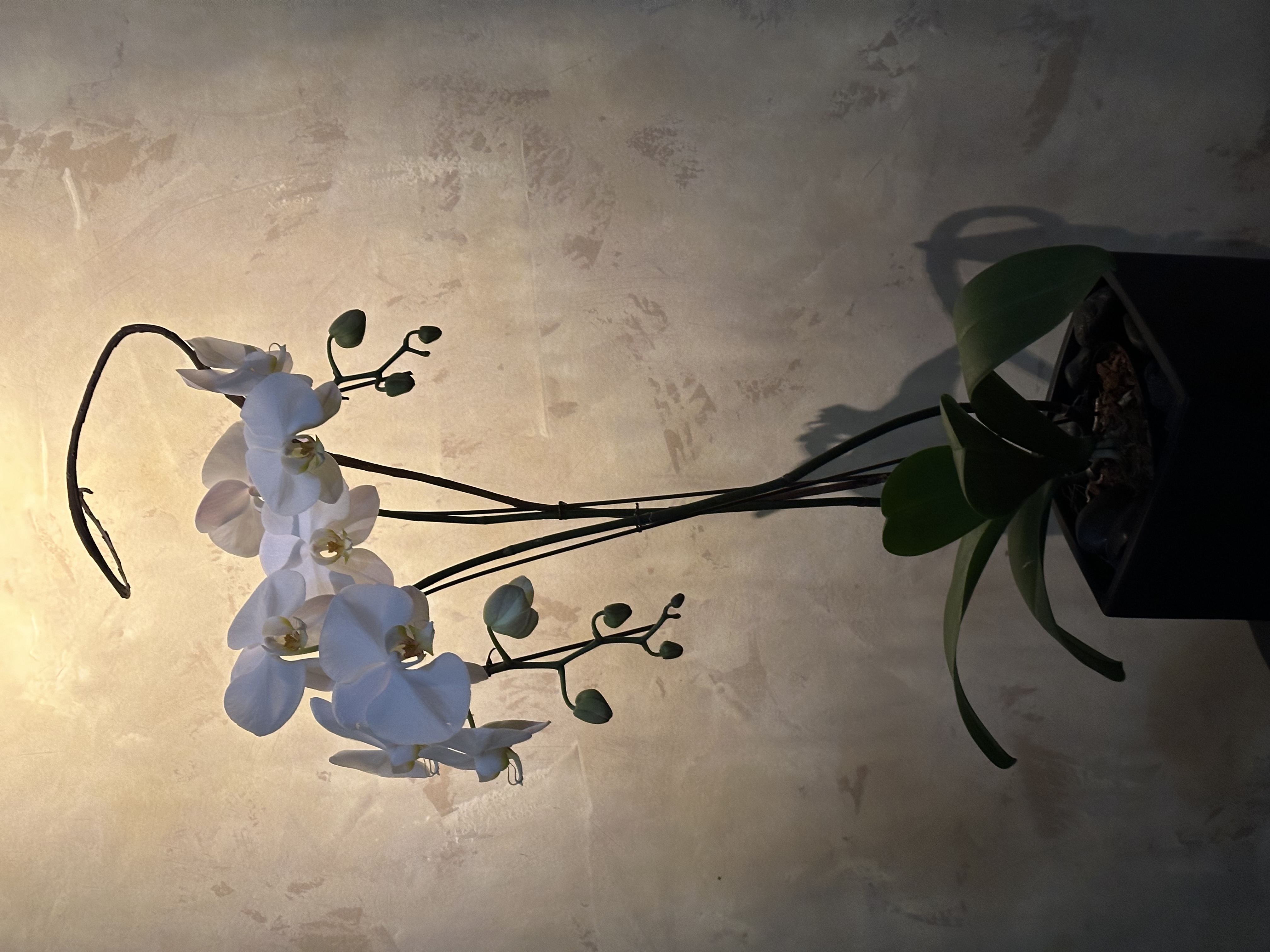 Cover image for article: Wealth is more than Money