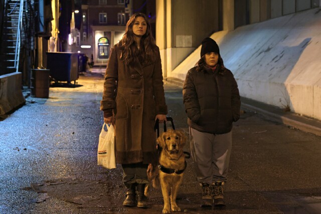 Cover image for  article: The CW at TCA:  “In the Dark” Shines a Light on the Visually Impaired