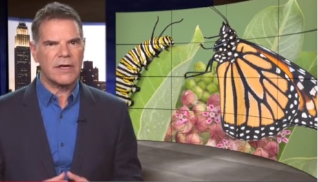 Cover image for article: Media Metamorphosis: “Change” is Not Enough