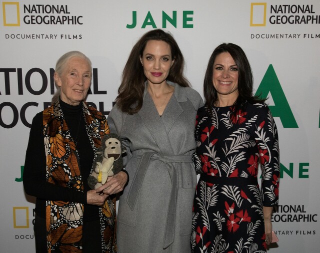 Cover image for  article: National Geographic Pays Tribute to Jane Goodall at Hollywood Bowl