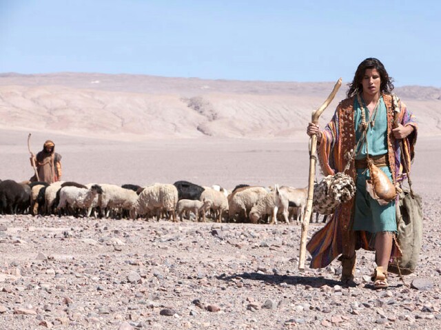 Cover image for  article: Univision’s Biblical Minis Are, In a Word, Epic