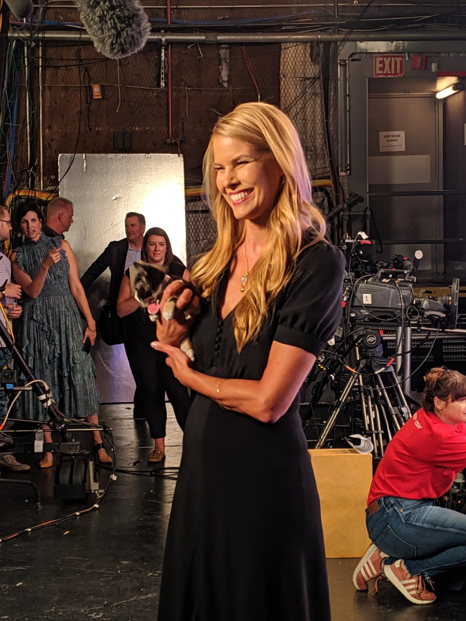 Cover image for  article: Hallmark Channel's Kitten Bowl VII Is Purr-fect for Promoting Pet Adoption