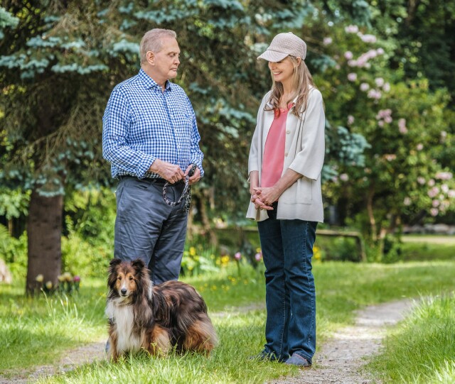 Cover image for article: Hallmark Channel Presents a Reunion of Bionic Proportions