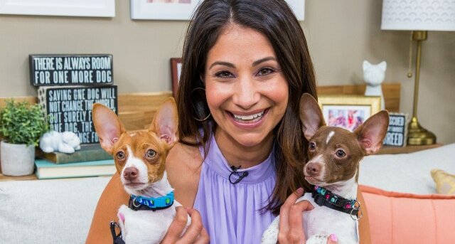 hallmark adopt a pet