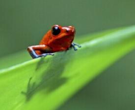 Cover image for article: TCA’s Cable Triumph: Discovery and HBO Reveal the Programs of the Year - Ed Martin - MediaBizBloggers