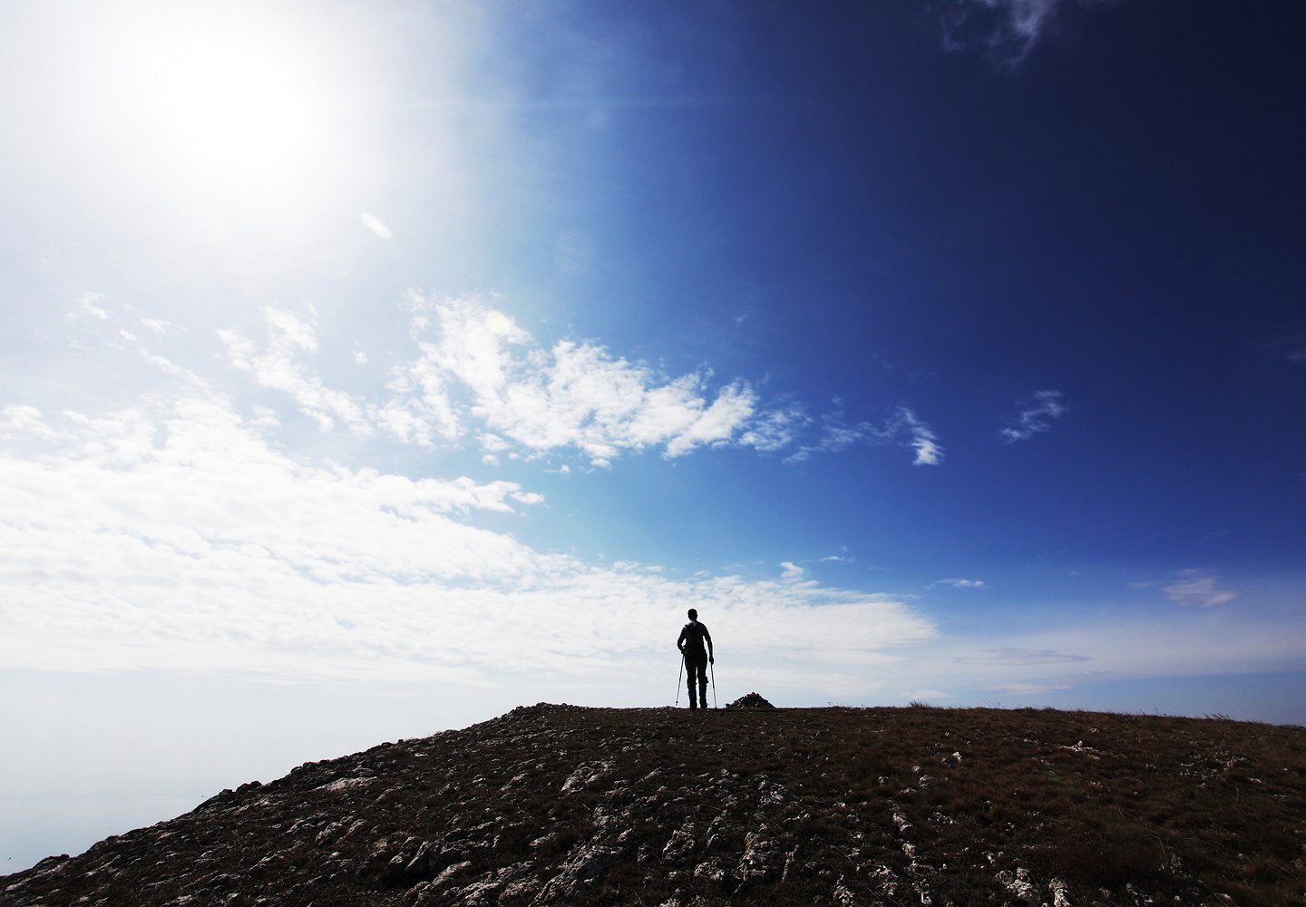 Cover image for  article: The Future of Men - Watch the Video