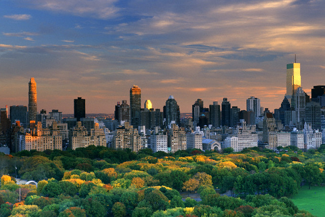 Cover image for article: The MediaVillage Articles Club: Autumn Selections