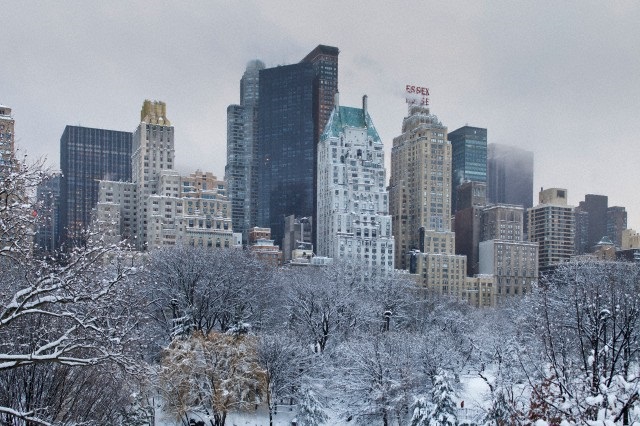 Cover image for article: The MediaVillage Articles Club: Holiday Selections