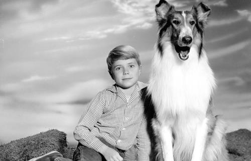 Cover image for  article: Leave it to Lassie to Deliver the Mail 