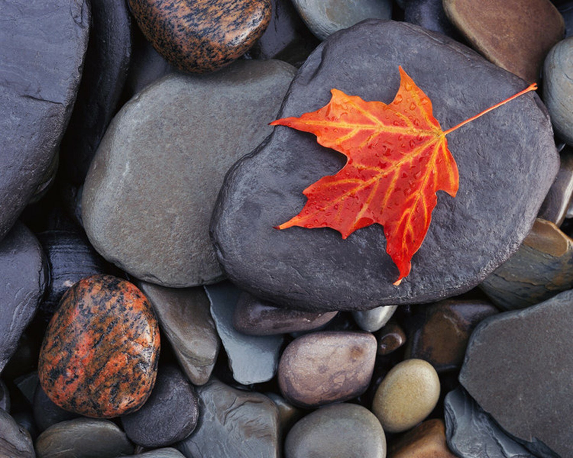 Cover image for article: Becoming Innovative.