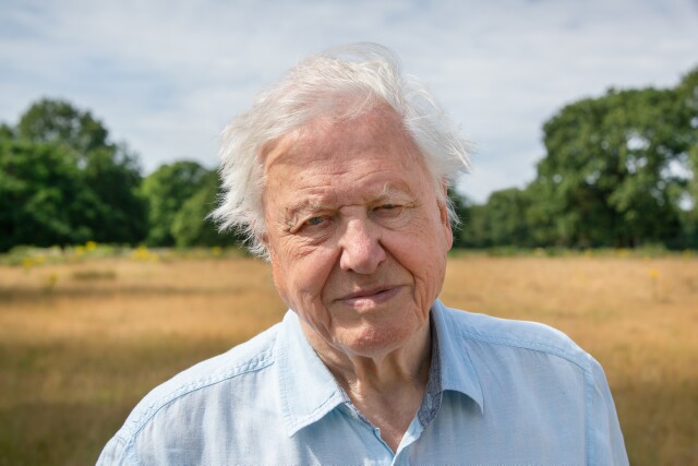 Cover image for  article: Sir David Attenborough Unpacks the New discovery+ Docuseries "A Perfect Planet"