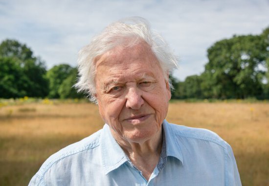 Sir David Attenborough Unpacks the New discovery+ Docuseries "A Perfect Planet"