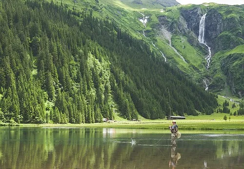 Sellers Wanted, Sales Experience Negotiable