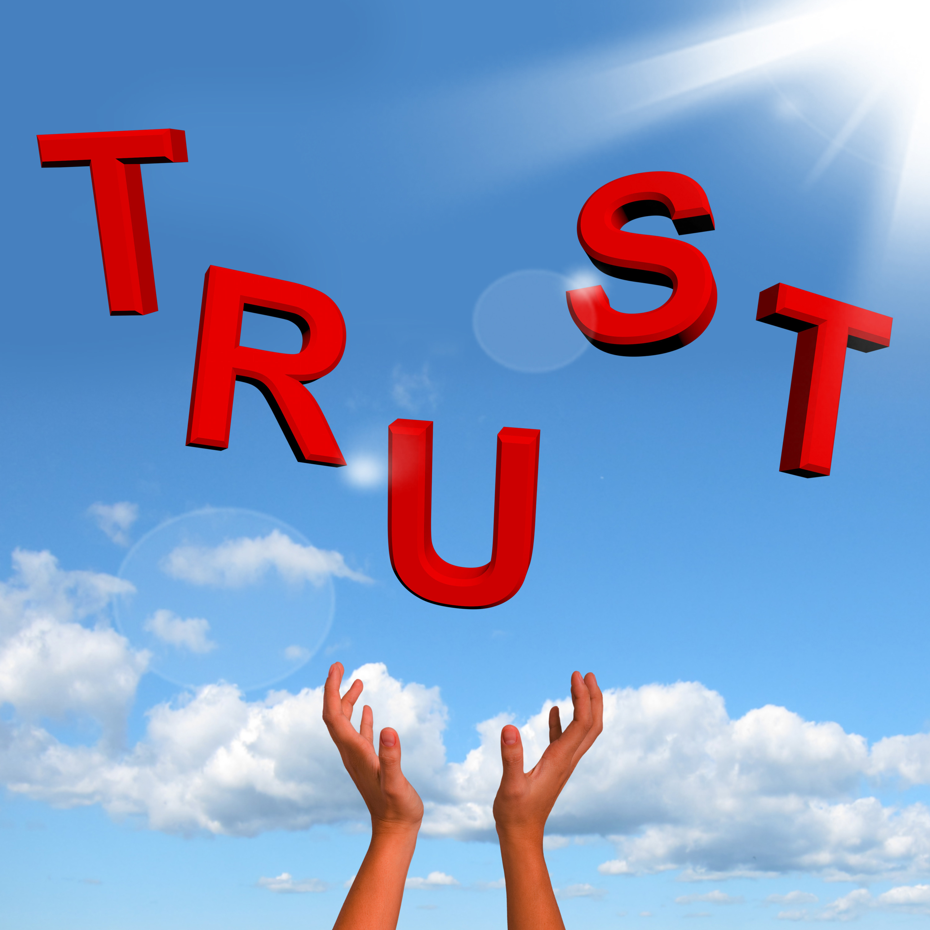 Cover image for  article: The Trust Crisis