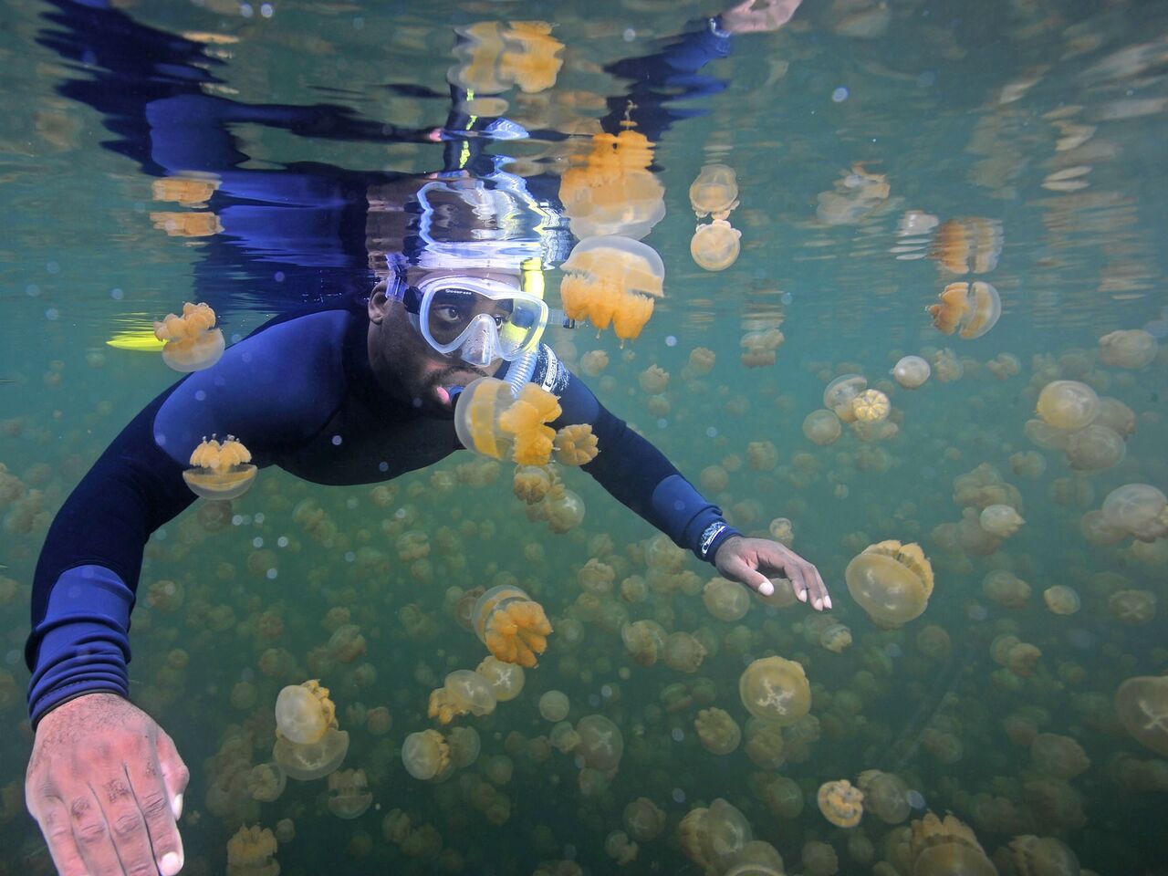 Cover image for article: National Geographic’s Brendan Ripp on Infusing Purpose Into the Brand