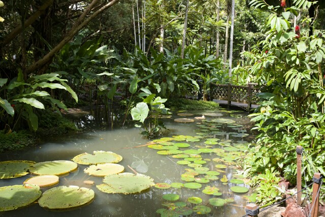 Cover image for  article: The Wisdom of John Durham