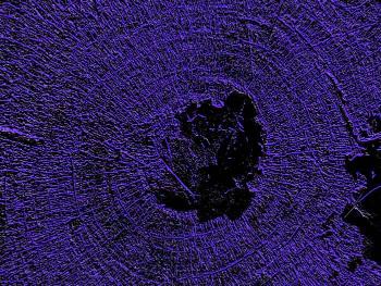 Cover image for article: The Center Cannot Hold - Jaffer Ali - MediaBizBlogger