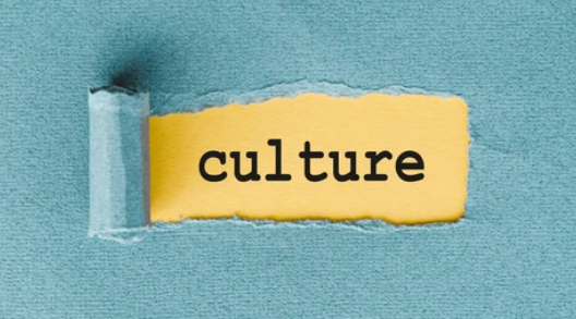 Cover image for article: Culture Isn’t New. But It’s Time We Treat It Like a Discipline.