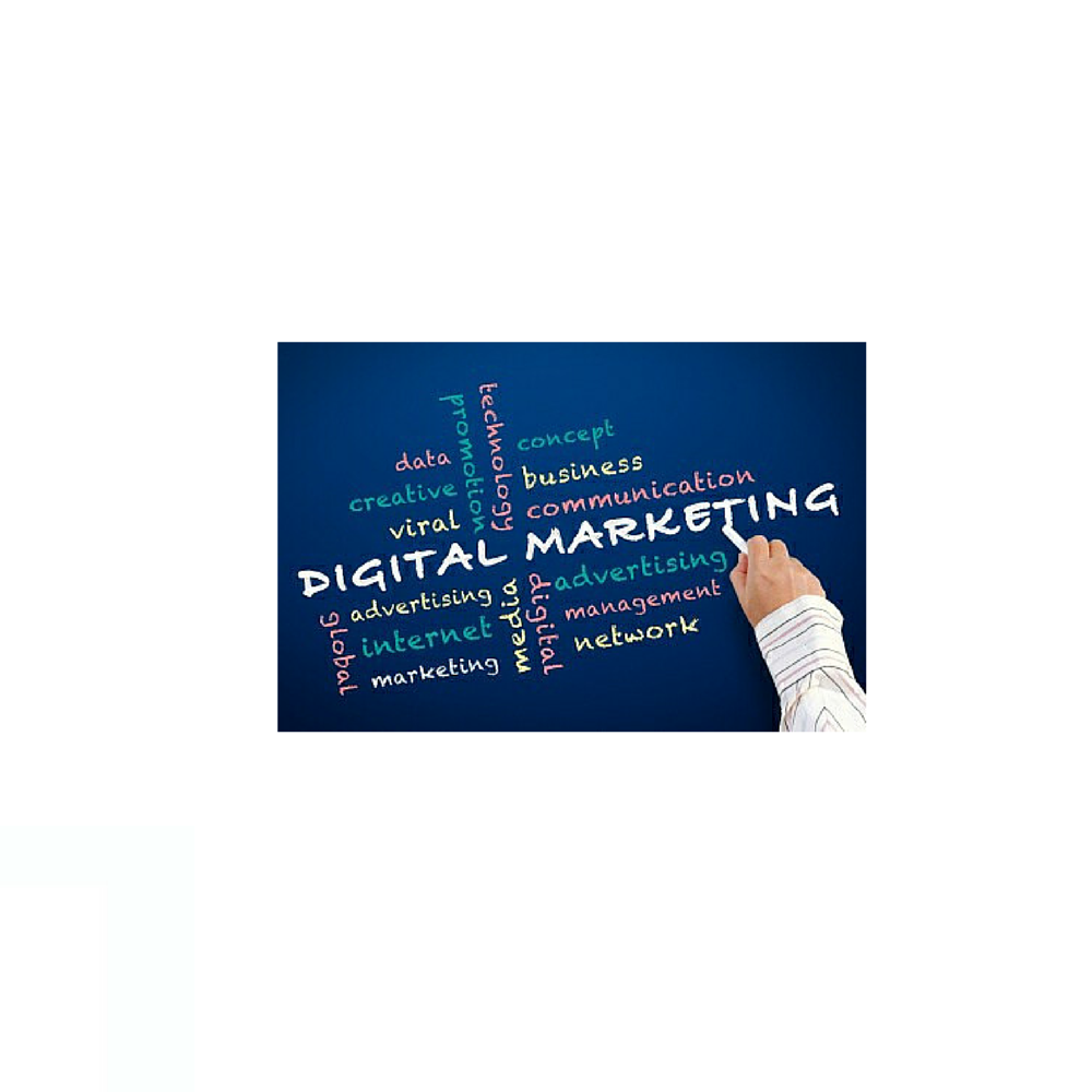 Cover image for article: CPOs Becoming Critical Voice in Determining Digital Marketing ROI