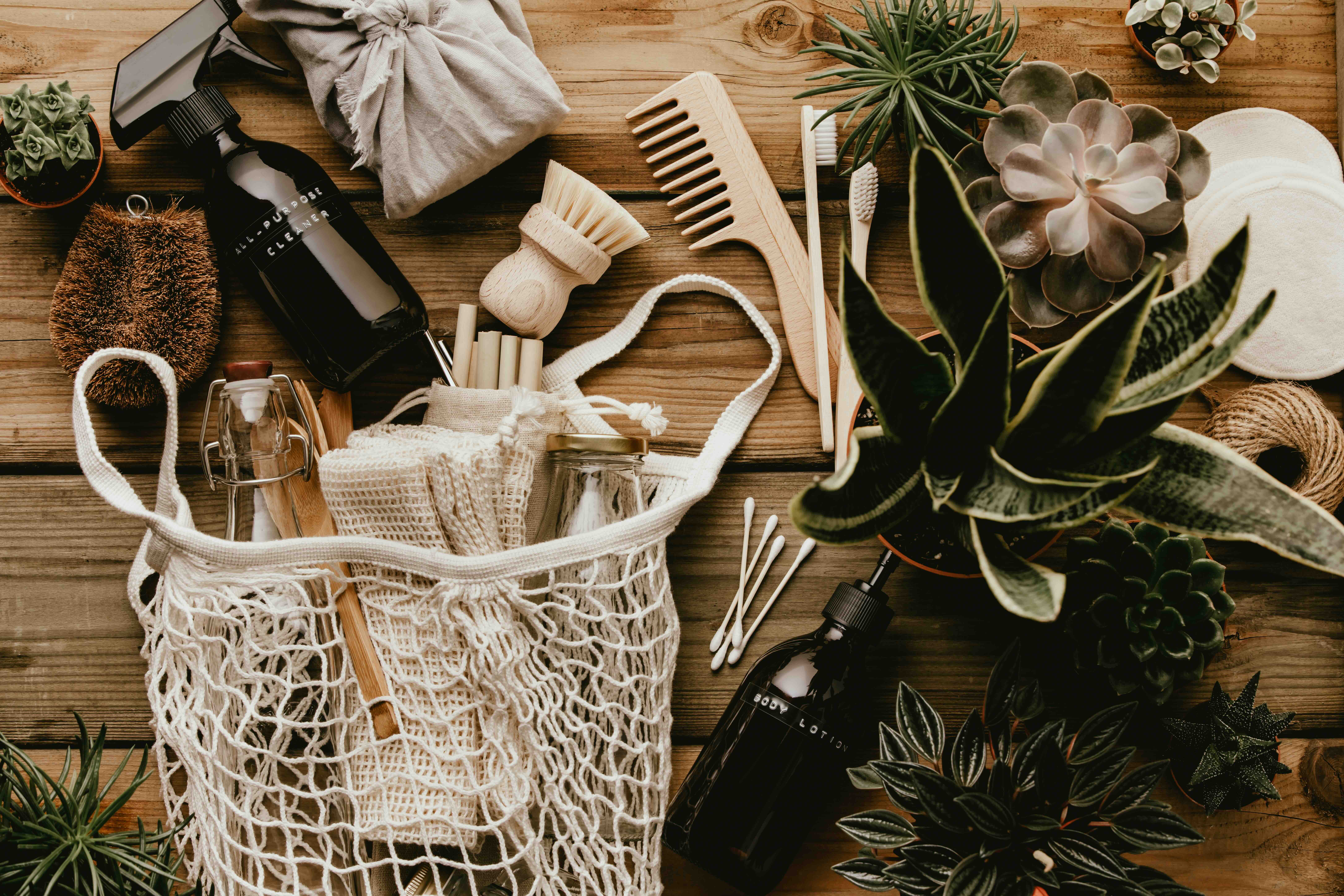 Cover image for  article: Equativ and MAGNA Media Trials Research Unlocks Sustainability Keys for Brands to Profit Through Purpose