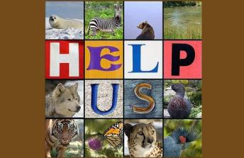 Cover image for article: Media Companies Challenged to Identify Revenue-Generating Strategies- JackMyers Think Tank