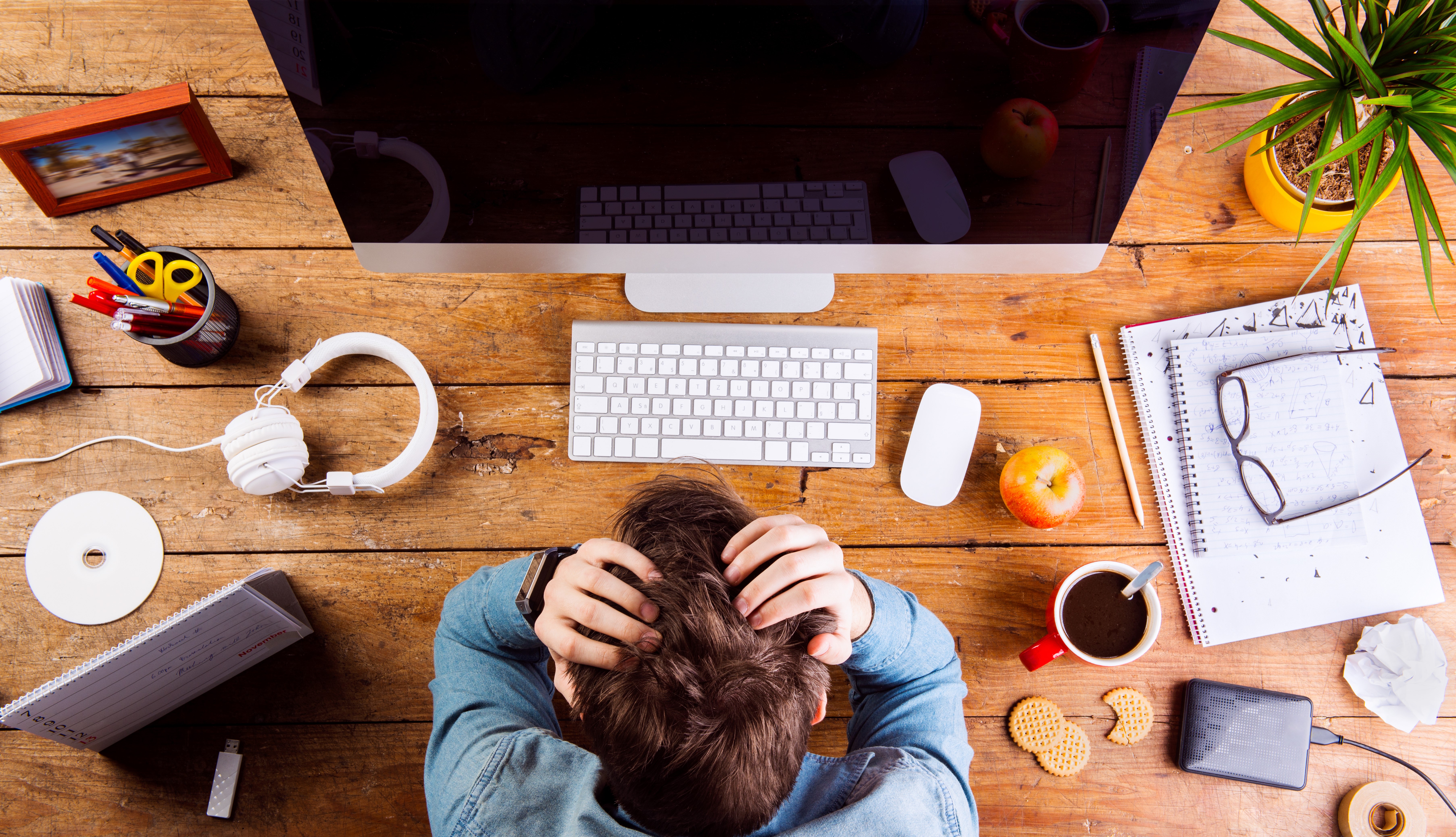 Cover image for  article: Americans are Stressed and Media Obsessed: OMG on How Marketers Can Help