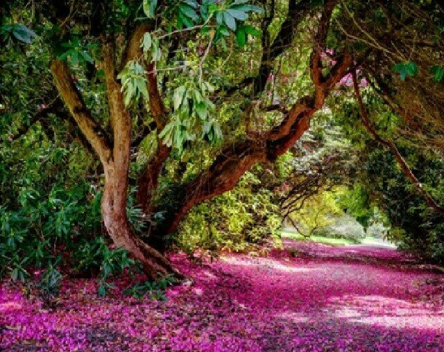 Cover image for  article: Repair, Restore, Refresh