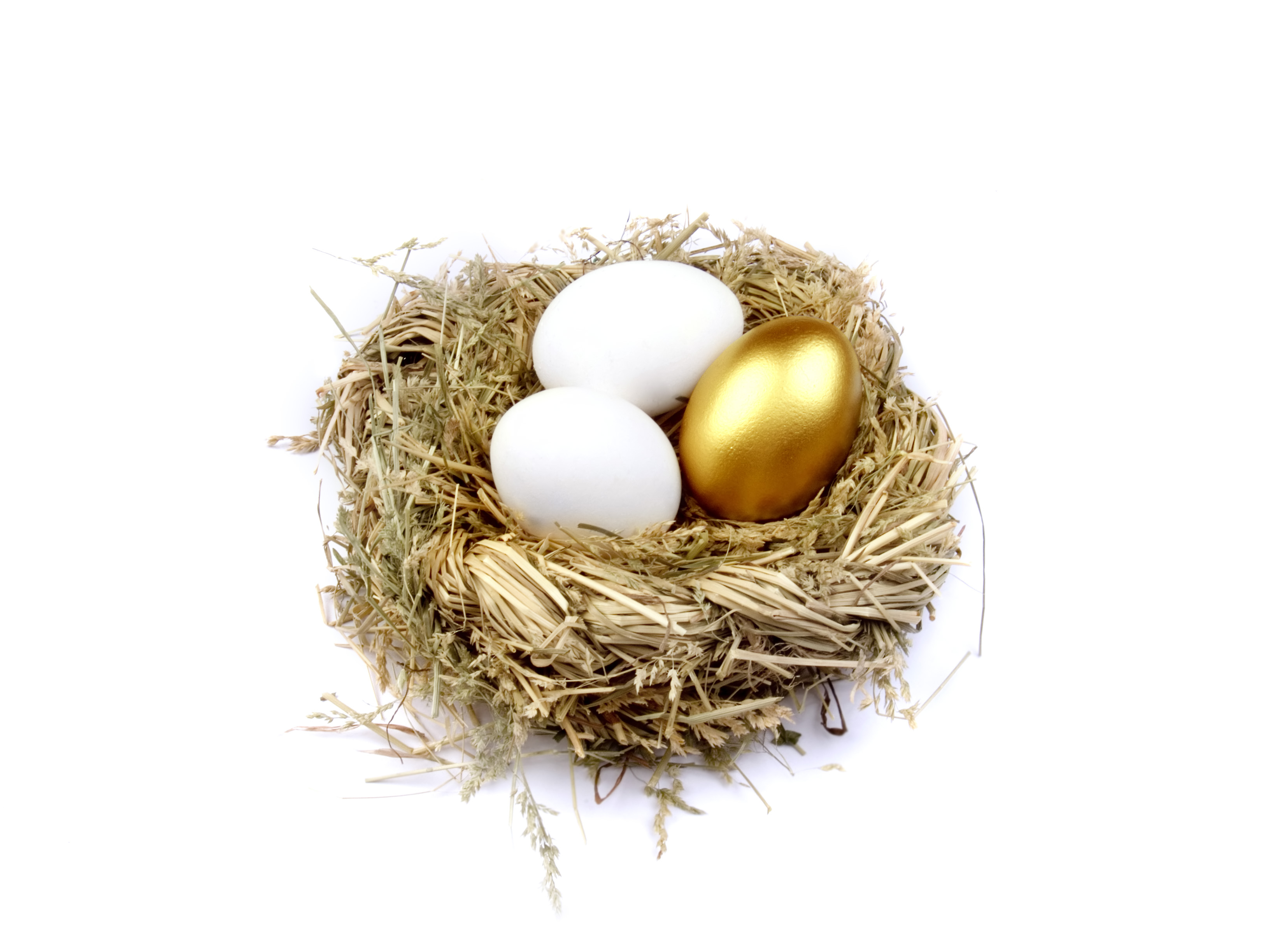 Cover image for  article: Quandary for Media Agencies: Golden Eggs from a Sick Goose
