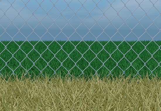 Talent Retention: Keeping the Grass Greener on Your Company's Side of the Fence