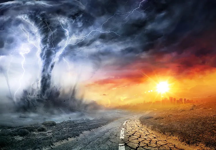 Suddenly This Summer